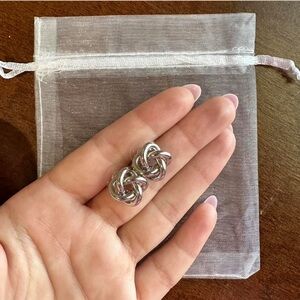 Express - silver earrings